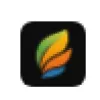 picture to drawing logo