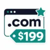 $199 Domains logo