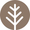 RealRoots logo