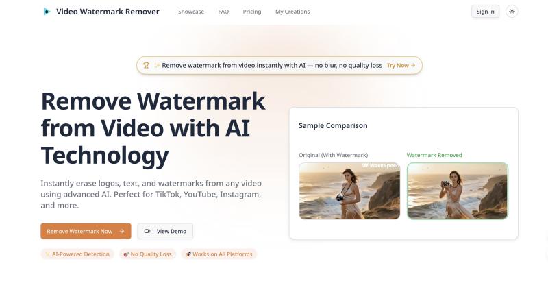AI Video Watermark Remover homepage showing Remove watermark from video instantly with AI technology. Erase logos, text