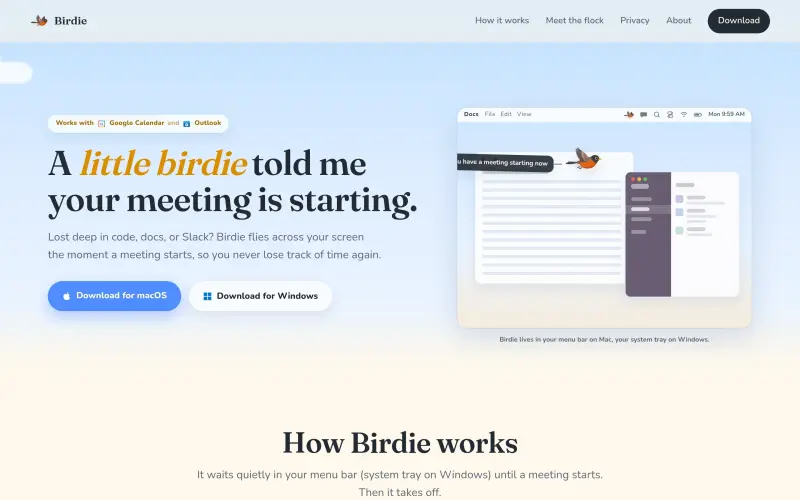 Birdieflies homepage showing Never miss a meeting's start