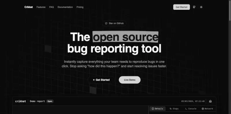 Crikket homepage showing Streamline your debugging process with detailed reports and seamless team
