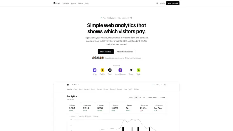 Piqo Analytics homepage showing Simple web analytics for founders and teams, revealing which visitors become