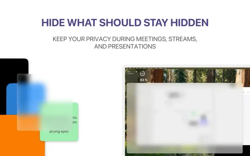ScreenVeil product image 1