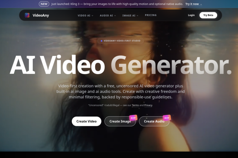 VideoAny homepage showing is a free, uncensored AI video studio with built-in ai image and ai audio